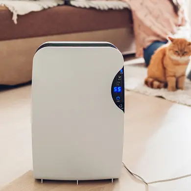 EVRs & Dehumidifiers