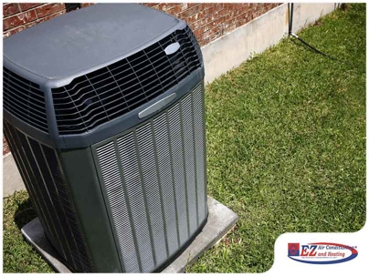 Poor Lawn Maintenance