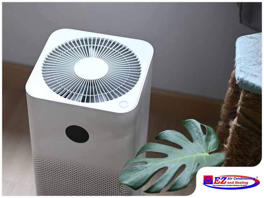 Using an Air Purifier This Allergy Season: An Overview